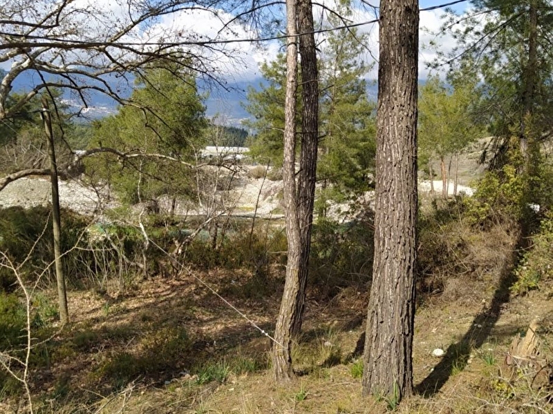 Kaş di̇rgenlerde yola sifir 4.807 m2 kupon boş tarla