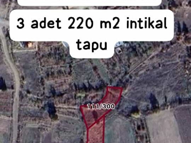 İnti̇kal tapulu bahçeler