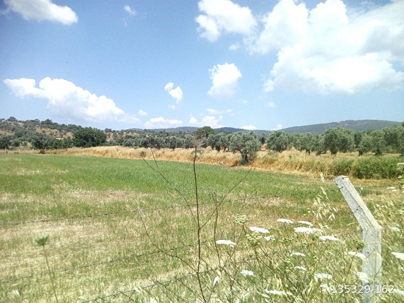Kazıklı mahallesi'nde satılık 6600 m2 tarla
