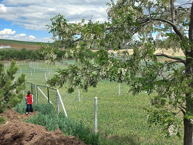 Elmadağ edi̇gede e-devlet onayli bahçe