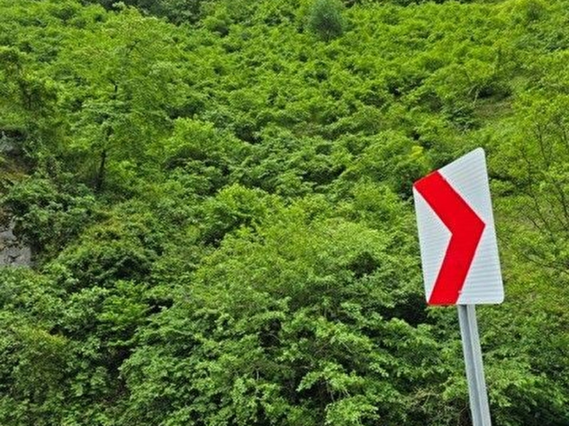 Trabzon arakli karatepe köyü yeni̇mahalle mevki̇i̇  42.785.67 m2 satilik kargi̇r ev ve findik bahçesi̇