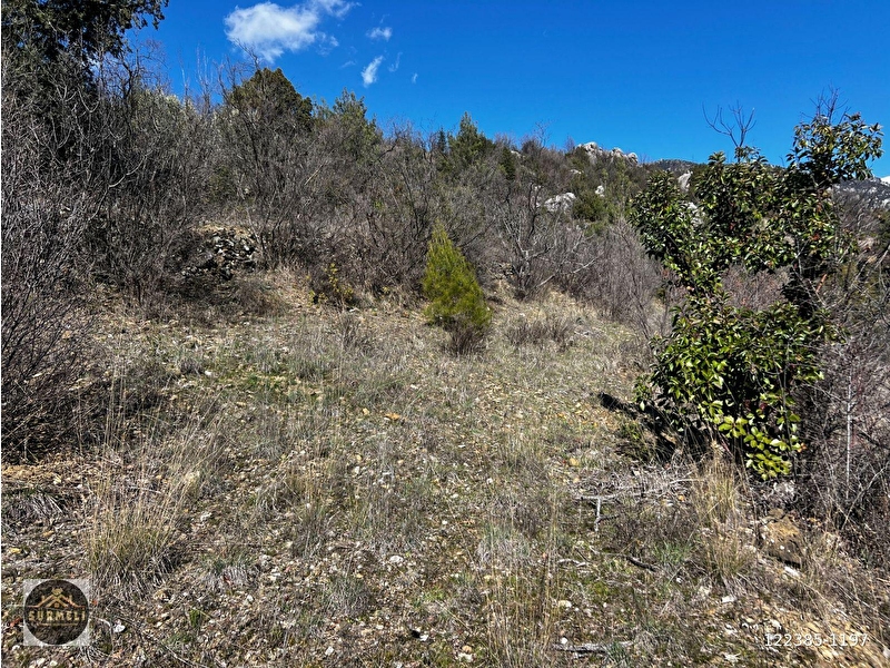 Çayirözü satilik tek tapu bahçe 1225 m2 yayla yeri̇
