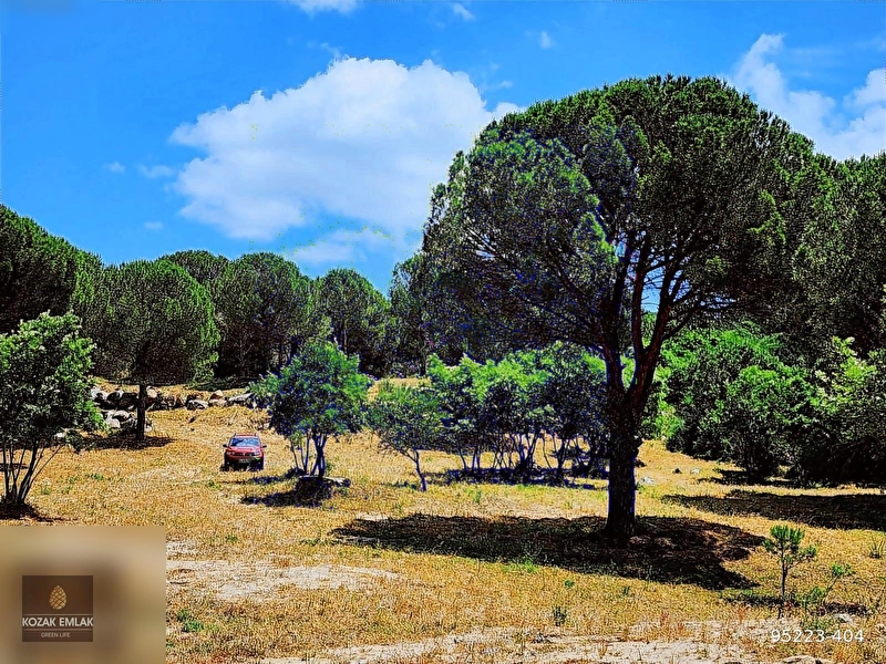 Bergama kozak kıranlı eko turizme uygun satılık arazi