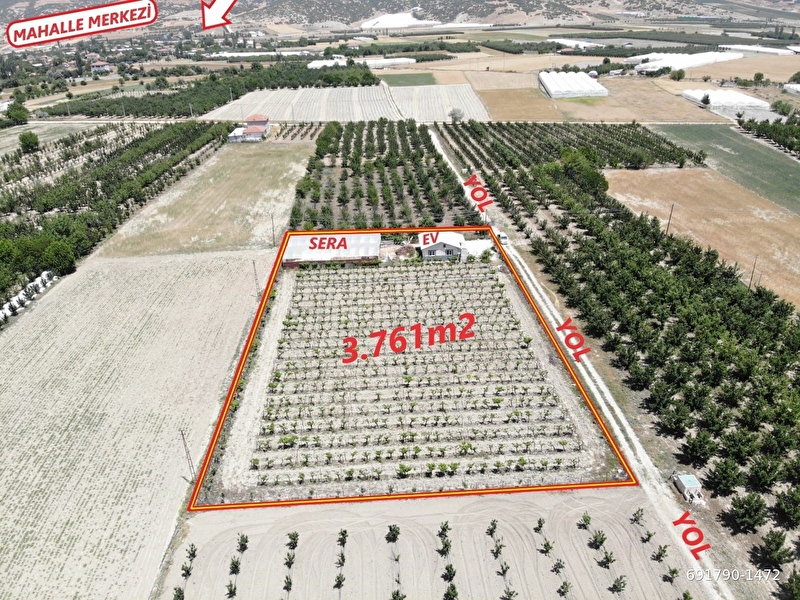 Antalya elmali düdenköy mah'de elektri̇k,su,yol problemi̇ olmayan 3.761m2 satilik üzüm baği