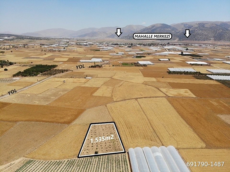 Antalya elmali bozhüyük mahalle merkezi̇ne yakin mesafede 1.535m2 satilik üzüm baği