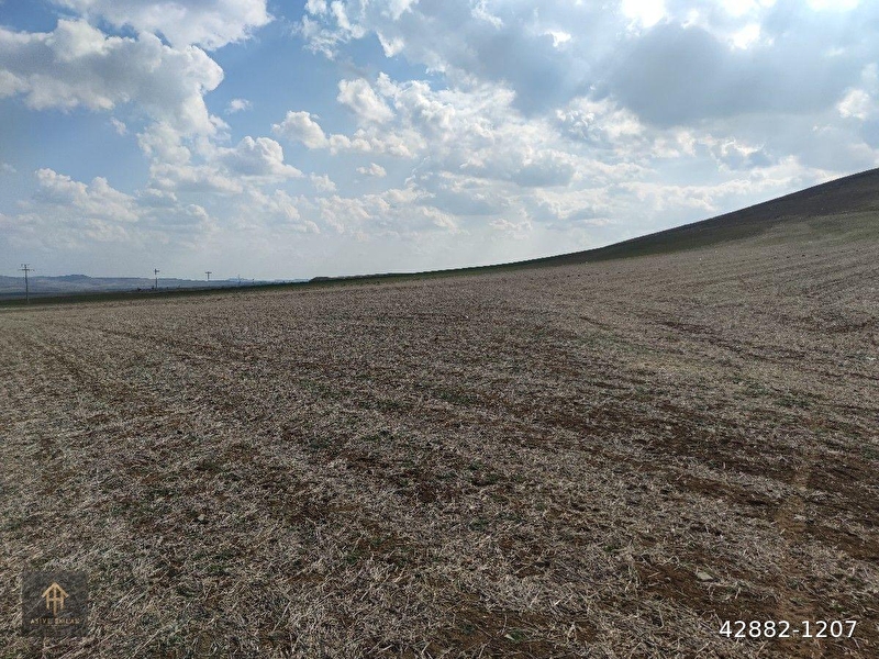 ????asi̇ye???? emlak'tan eski̇ polatli mah.'de satilik tarla 31.000m2 müstaki̇l parsel mükemmel yerde