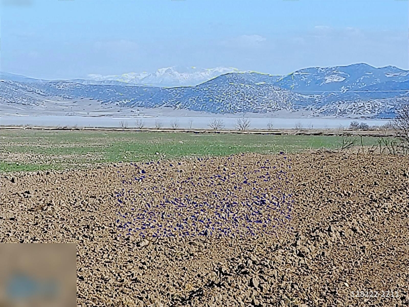 Burdur yeşi̇lova yarişlida 1144m2 köşe parsel yolu suyu mevcut