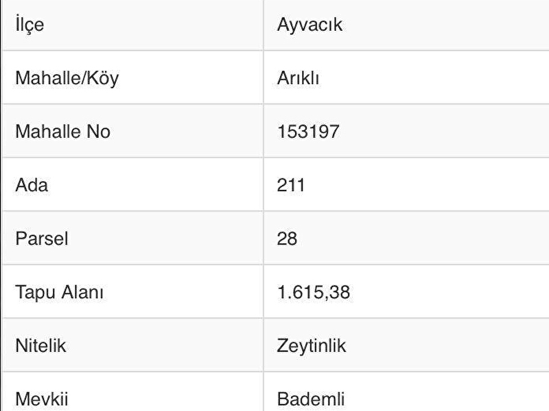 Ayvacik arikli köyünde 1615 metrekare yolu olan veri̇mli̇ zeyti̇nli̇k