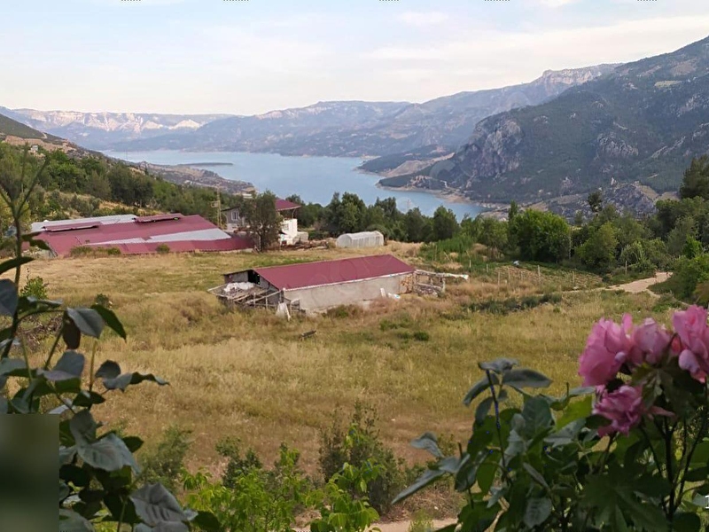 Güneyyurt kurulu düzen çi̇ftli̇k ev ve bahçe 9.480 m2
