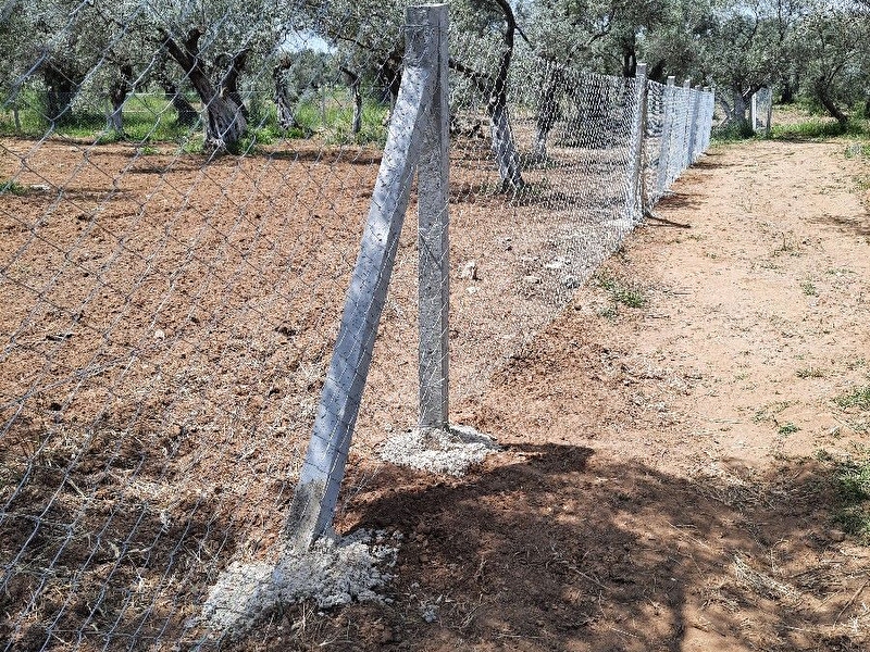 Torbalı satılık zeytinlik
