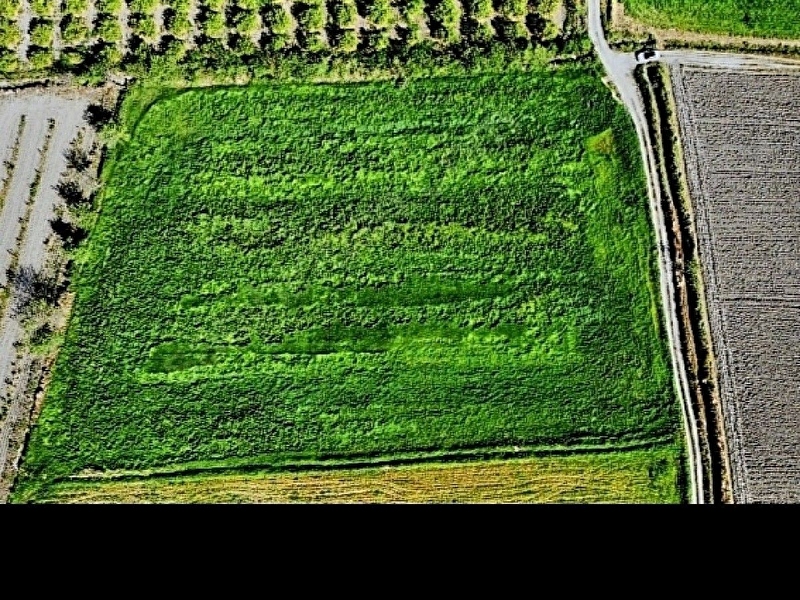 Aci̇l satilik kadastro yola paralel tarla