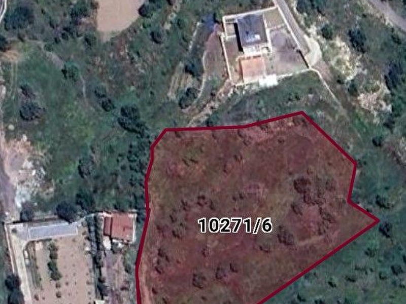 Egribucak 1950 m.kare hissemizi satıyoruz.