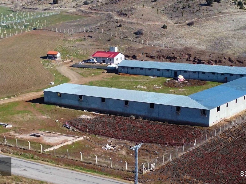 Elmadağ kuşçuali̇ yoluna cepheli̇ besi̇ çi̇ftli̇ği̇ tarla tek tapu