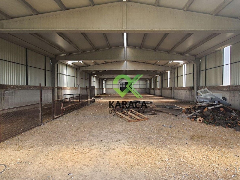 Karacadan konya'ya 30 km uzaklıkta 16.000 m2lik besi çiftlik
