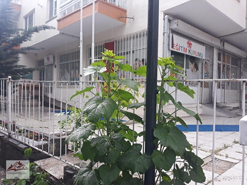 Bahçeli̇evler'de  satilik bahçe kullanimli,bodrumlu, büyük i̇şyeri̇