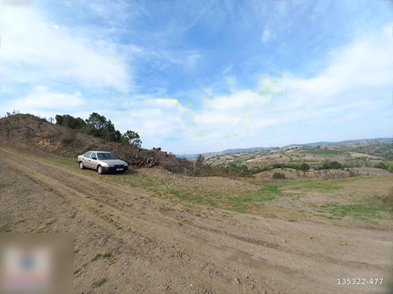 Remax frekans'tan yalakdere 9 dönüm %5 i̇marli arazi̇