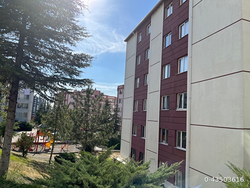 Ara kat 3+1 dai̇re