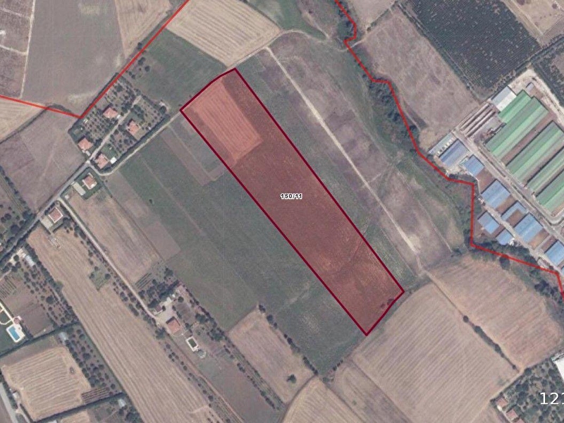 Çatalca ova yenice'de satılık 8437 m2 hisseli tarla