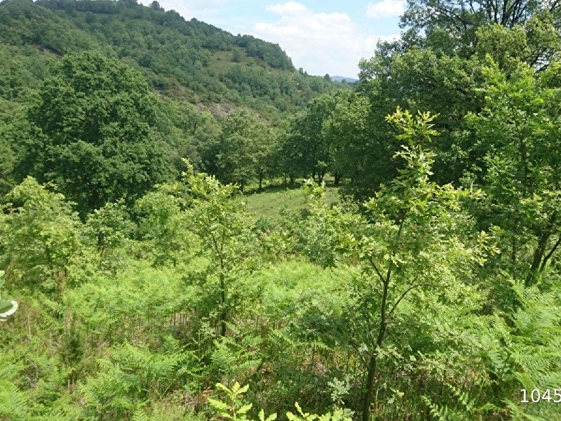 Gönen beyoluk 8200 m2 satılık tarla