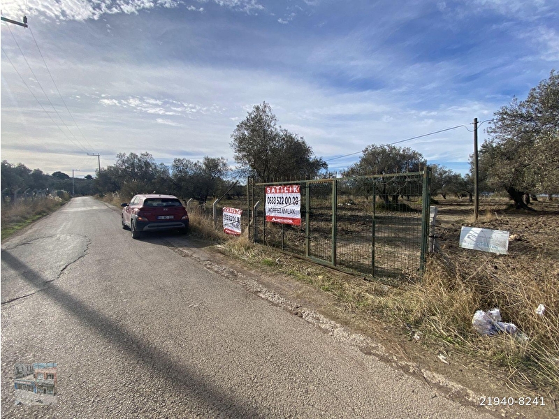 Balikesi̇r ayvalik sakarya da satilik 18 donum zeyti̇nli̇k.(ci̇ftli̇kevi̇ olarak kullanilabi̇li̇r)