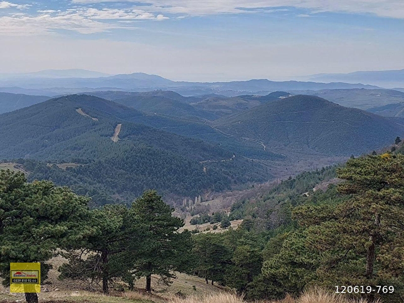 Bursa gürsu dişkaya,da satilik i̇mara yakin 4660m2 tarla