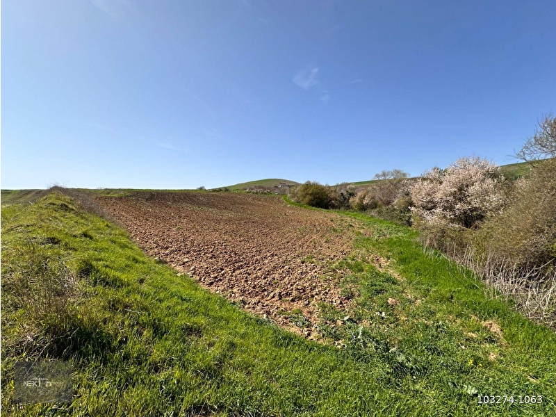 Next house'dan çatalca muratbeyde satılık 1.538 m2 fırsat araz