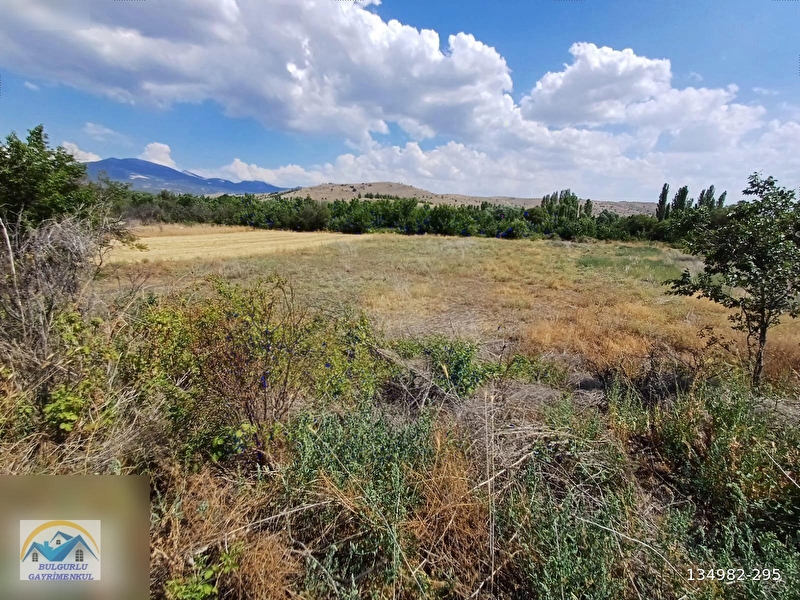 Burdur yeşi̇lovada uygun firsat arazi̇