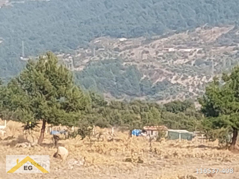 Pazarlık var!bornova karaçam satılık arsa