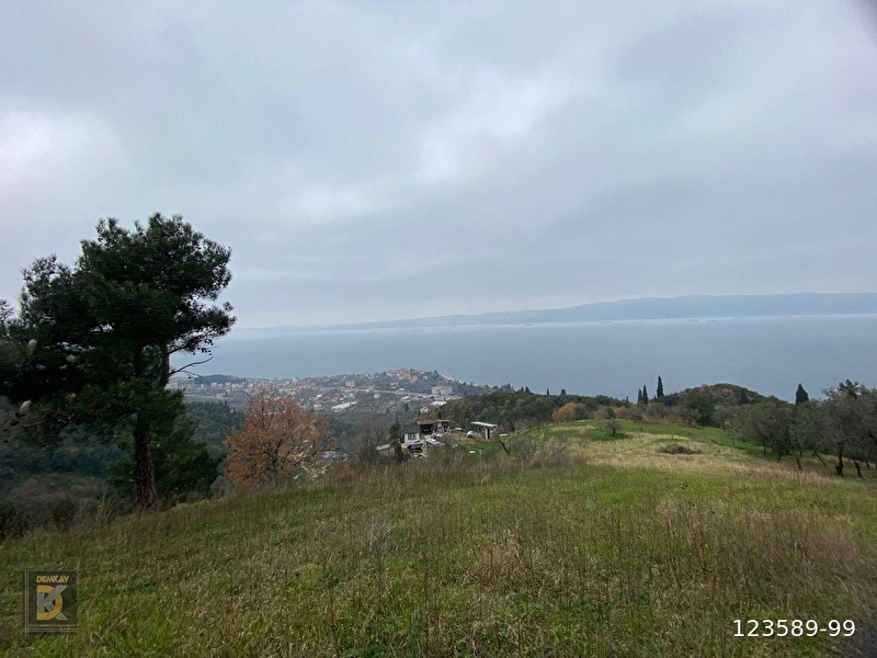 Karamürsel ereğlide satılık 9150m2 deniz manzaralı arsa