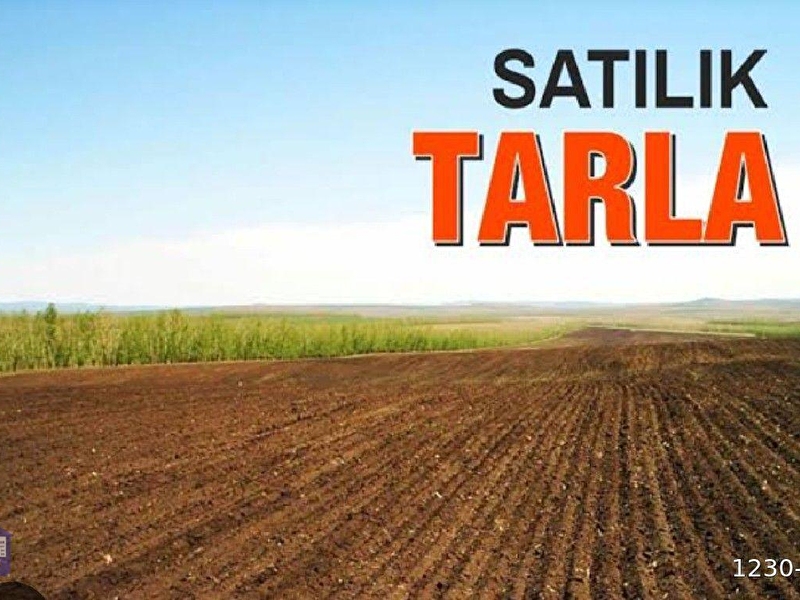 Saray beyazköyde i̇marda satilik tarla