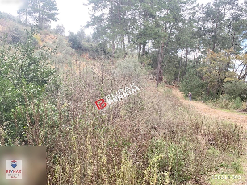 Remax burak perki̇mden fethi̇ye gökçeovacik tek tapu satilik tarla