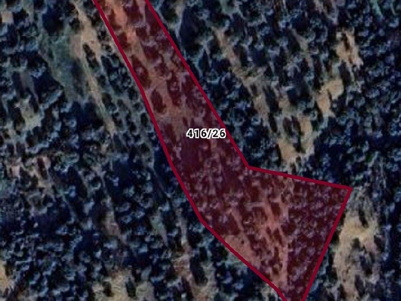 Bergama zeytindağ çaçanköy mevkii satılık zeytinlik