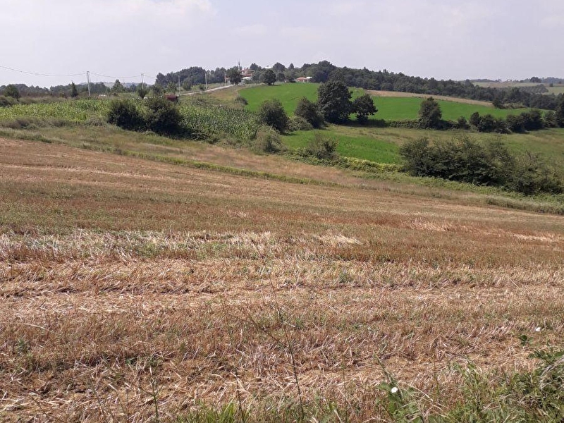 Kocaeli̇ kandira goncaaydinda satilik 5390 m2 arsa