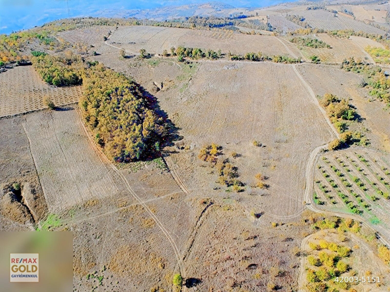 Bursa i̇zni̇k taci̇rde bahçelere komşu satilik 20.140m² arazi̇