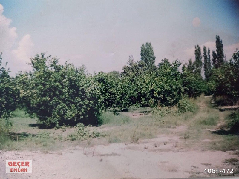 Okçular(baraj) mahallesi̇nde mustaki̇l tapulu 500m2 arsa