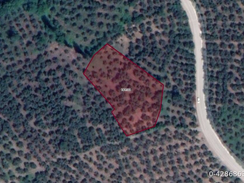 2,5 dönüm bakımlı zeytinlik, ana yola bir parsel, kadarstral yola cephe