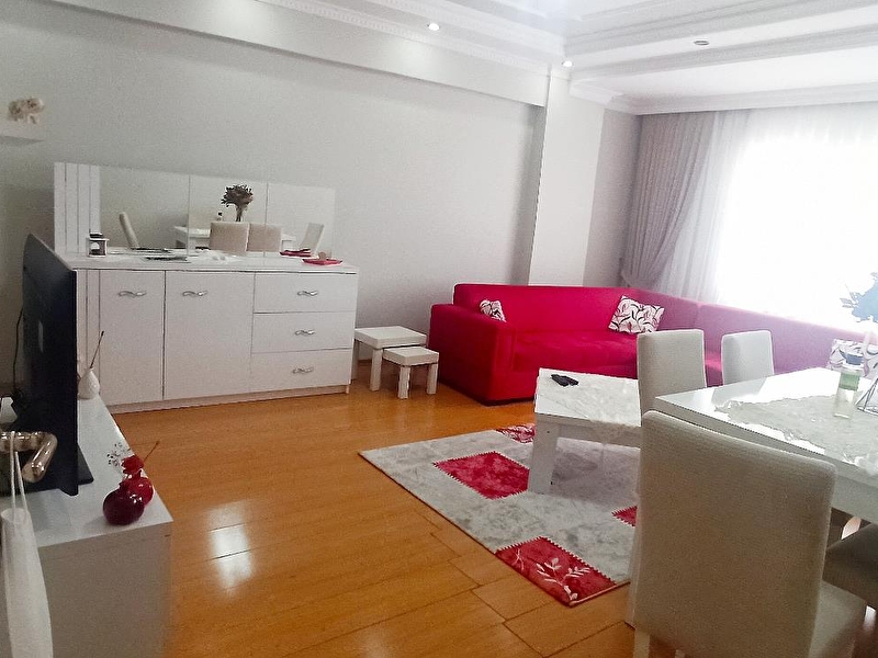 249 000 Tl Genis Kullanisli 2 1 Daire