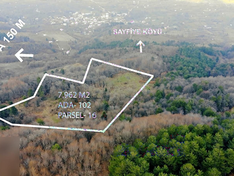 Bursa sayfi̇ye köyünde ormana cephe satilik arazi̇