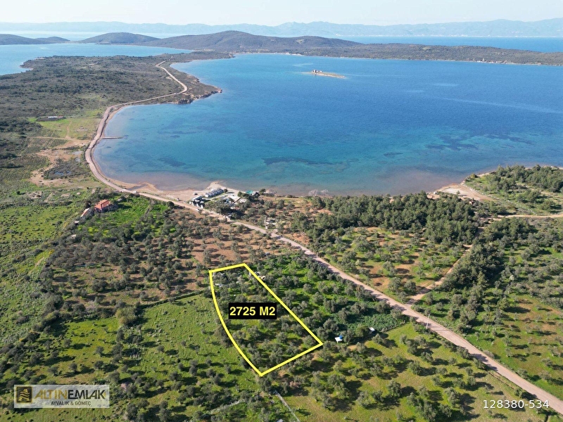 Ayvalik cunda adasinda satilik tiny houselu zeyti̇nli̇k