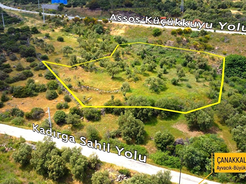 Büyükhusun köyü sahi̇le 250mt 3011 m2 satilik yolu olan zeyti̇nli̇k