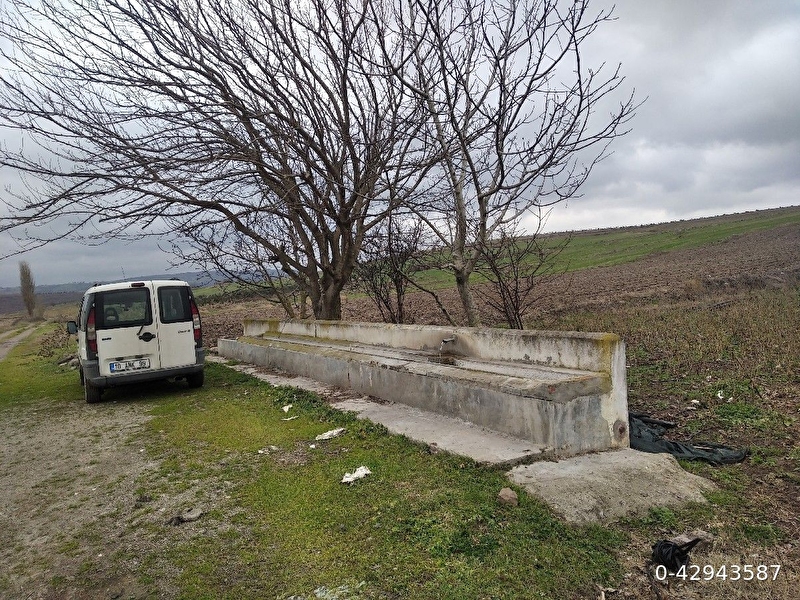 Gönen körpeağaçta şahane tarla