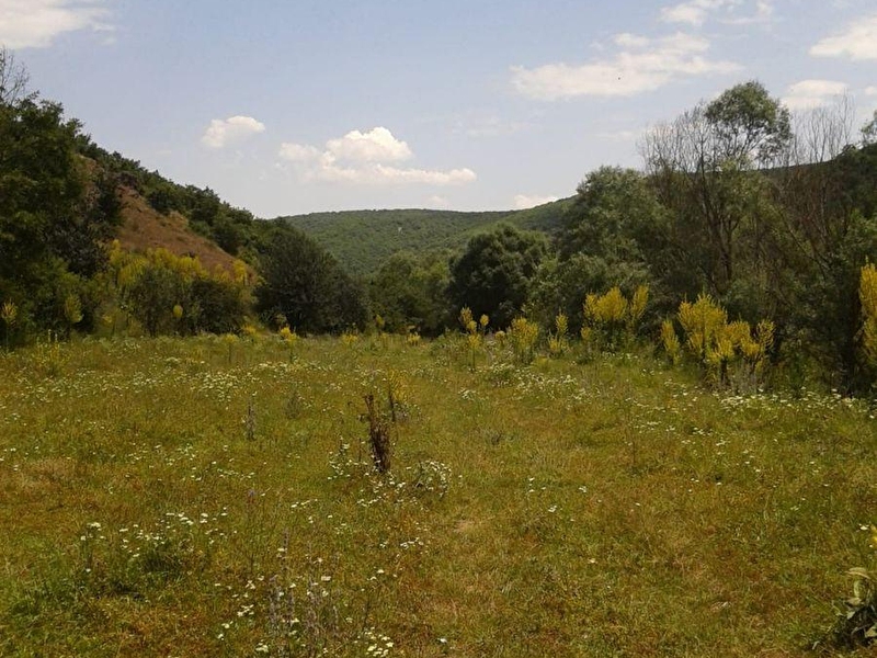 Güçlü'den karapazar mahallesi̇.(köyü) afyon yolu eski̇şehi̇r'e  20 km. mesafede toplu ulaşimi var