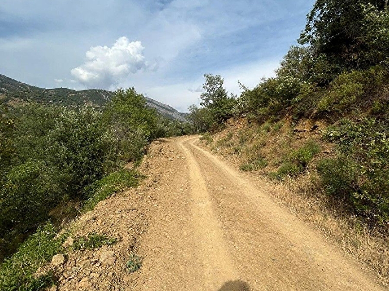 Sabuncuoğlu gayri̇menkul den antalya gündoğmuş akyar da.ucuz pri̇mli̇k, elektri̇k su yol mevcut