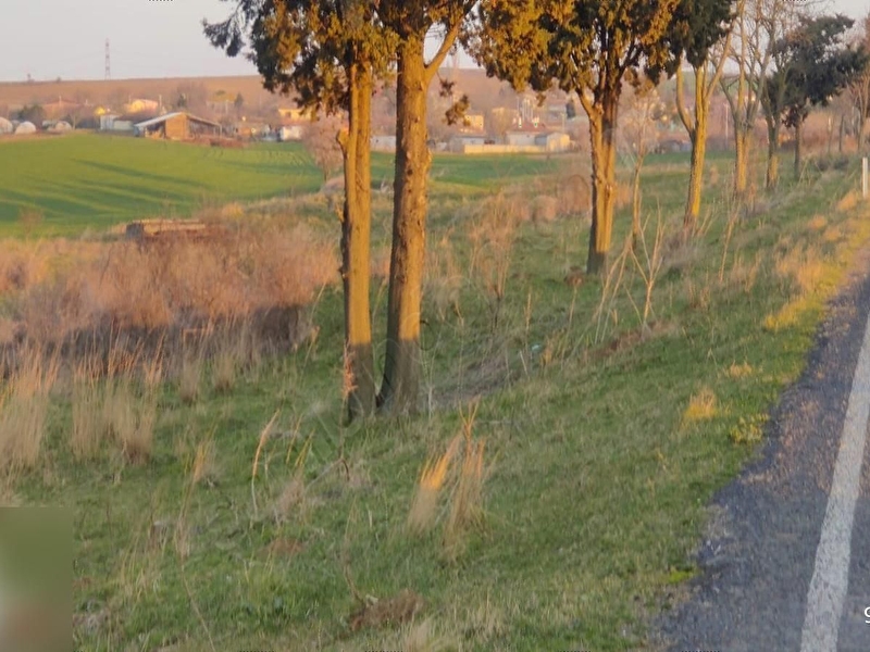 Teki̇rdağ merkeze 17 km mesafede köy i̇marinda 66100 m2 arsa