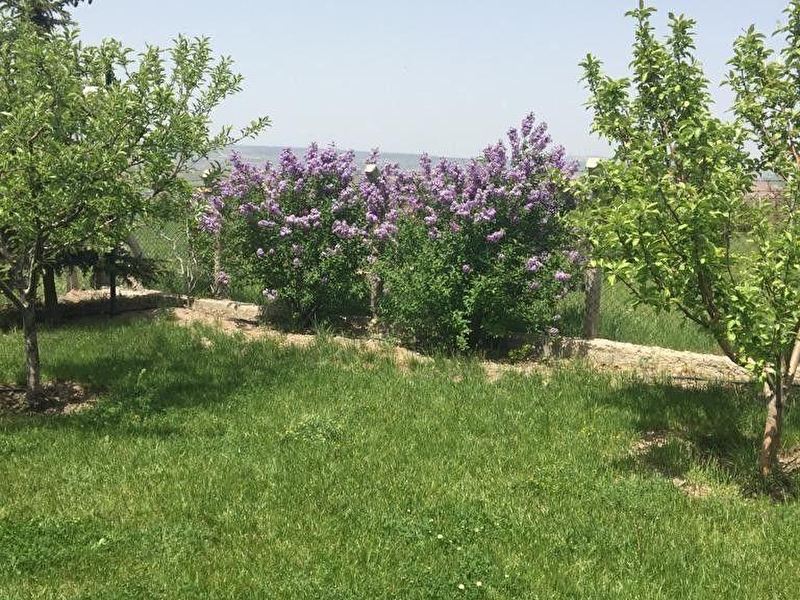 Ankara gölbaşi karaoğlan'da i̇marli manzarali 2 vi̇llalik 3000 m2 arsa