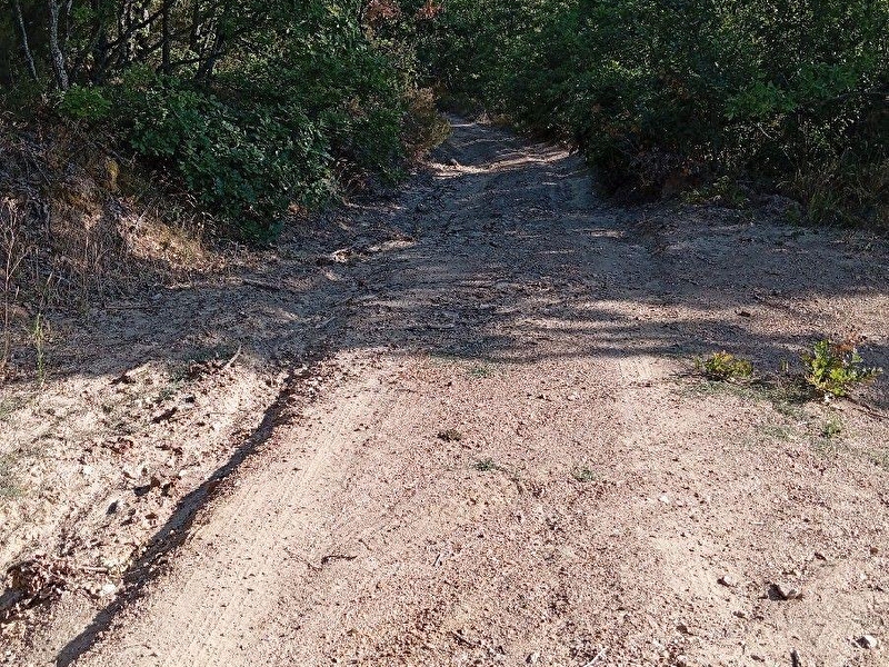 İzni̇k çandarli köyünde üç ayri tapudan oluşan yatirimlik tarlalar