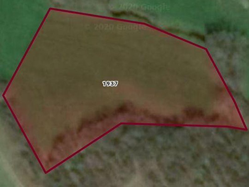 30 000 Tl Canakkale Biga Hacikoy 2931m2 Tarla