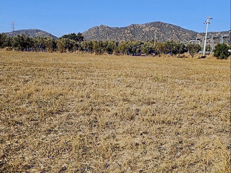 Efe'den germenci̇k ömerbeyli̇'de 6.049 m2 satilik i̇nci̇r bahçesi̇