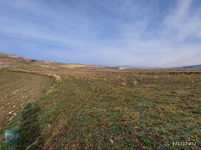 Jüpi̇ter'den beynam merkez de 1/5000 de 8398m² tek tapu firsatttt
