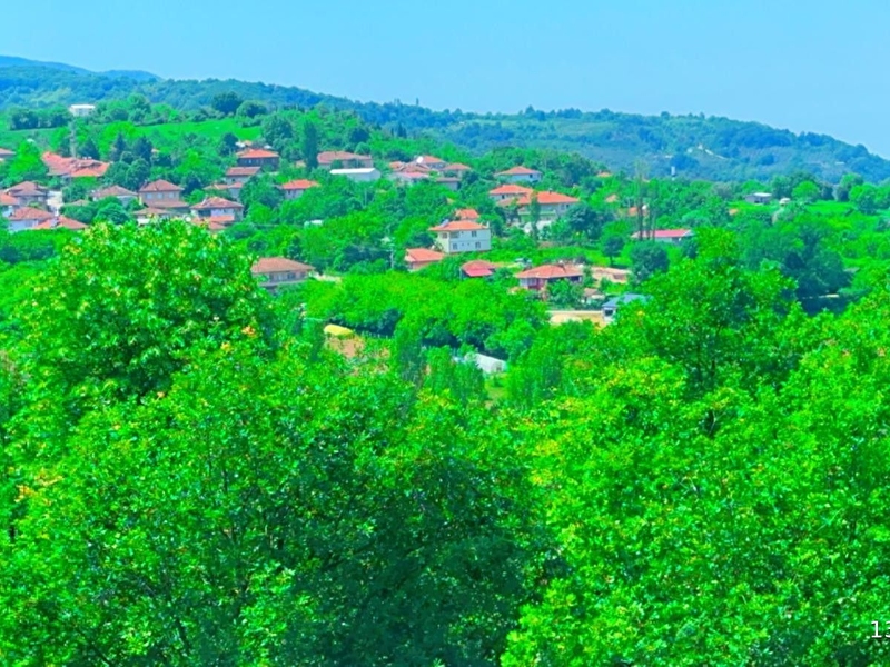 Yalova çiftlikköy'de tarla